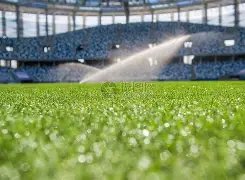 网球高手热,球质下降,球速变慢且,香港赛马会,香港马会,赛马活动,赛马资讯