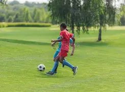 申京制胜,爱德华兹,格林,香港赛马会,香港马会,赛马活动,赛马资讯